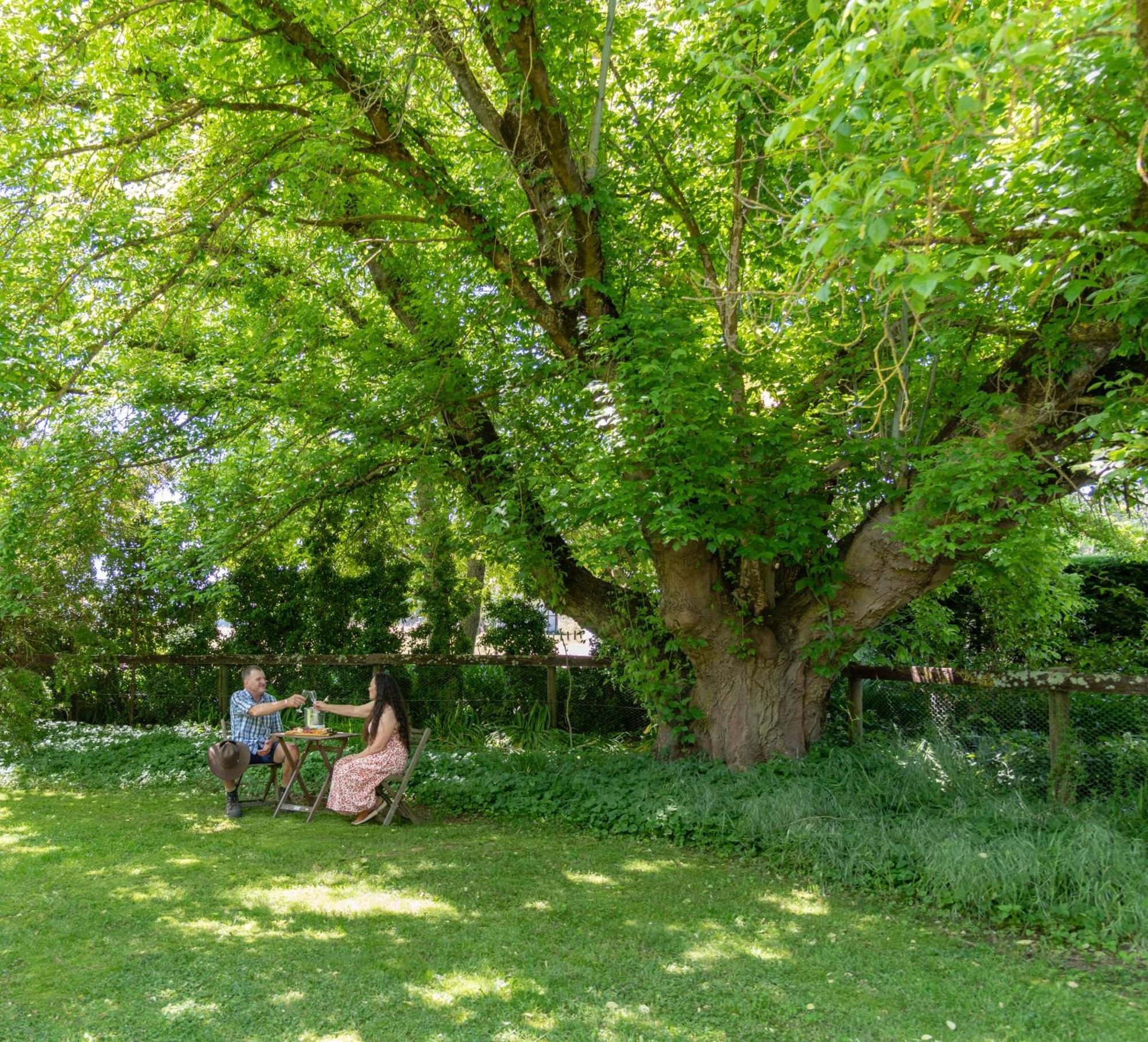 Myrrhee Brookfield Guest House מראה חיצוני תמונה